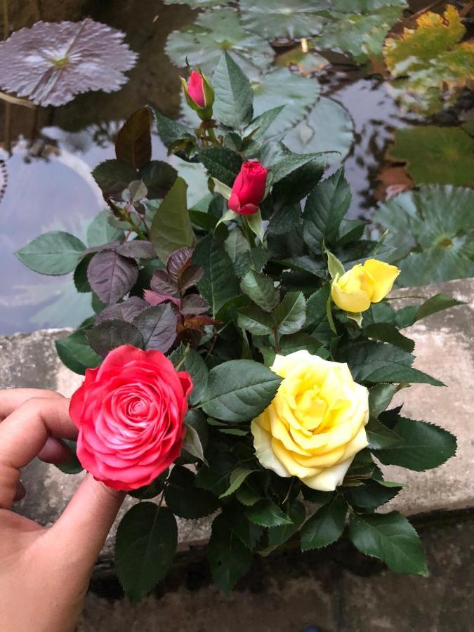 Son Thuy Homestay Ha Giang Buitenkant foto
